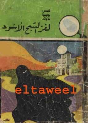 تحميل كتاب  لغز الشبح الأسود-PDF المغامرون الخمسة